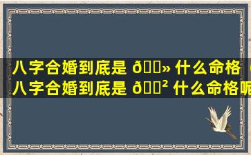 八字合婚到底是 🌻 什么命格（八字合婚到底是 🌲 什么命格呢）